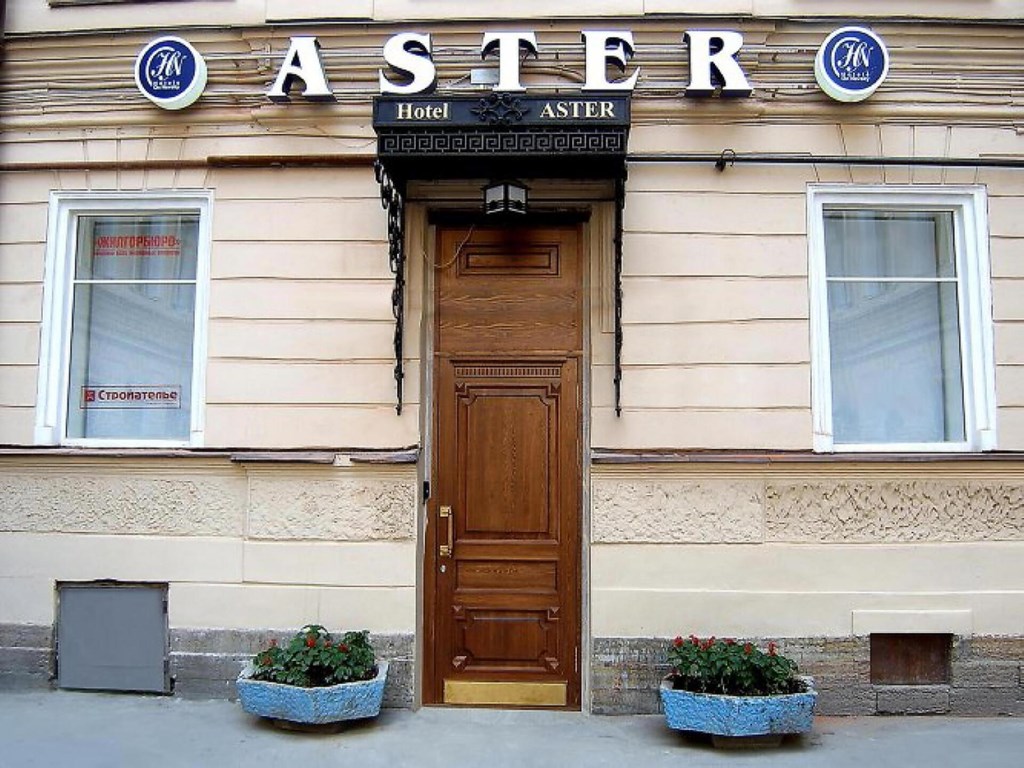 Nevsky Hotel Aster: General view