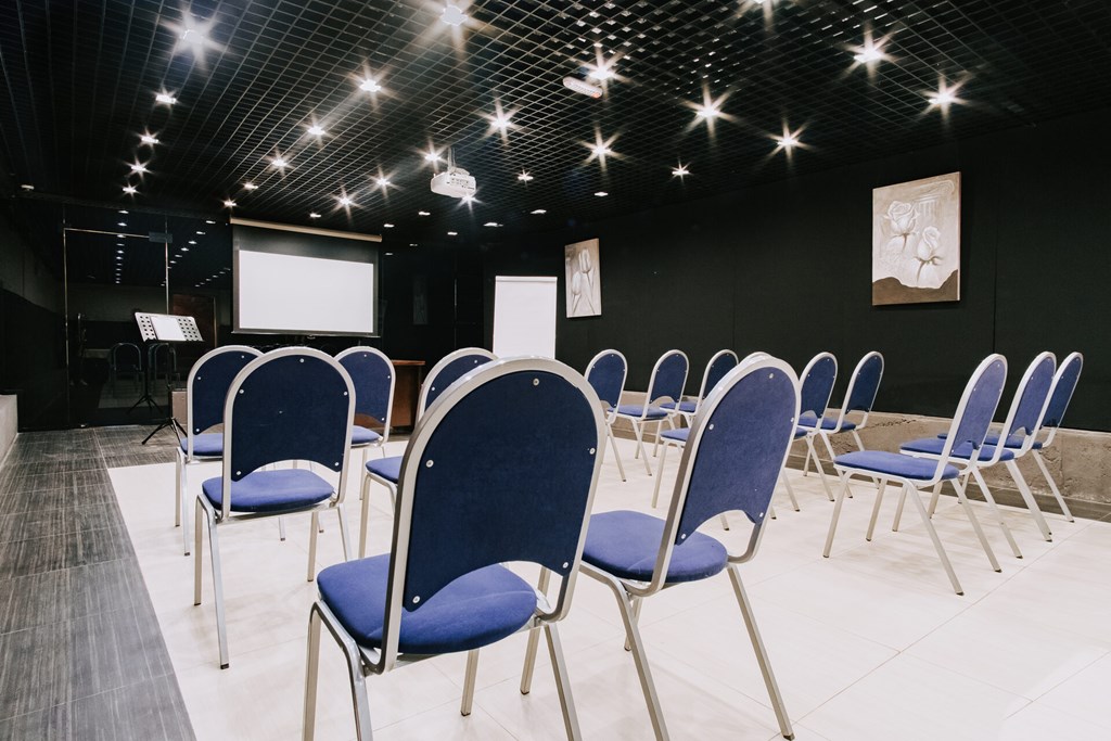 Nevsky Hotel Aster: Conferences