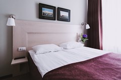 Nevsky Hotel Aster: Room DOUBLE STANDARD - photo 50