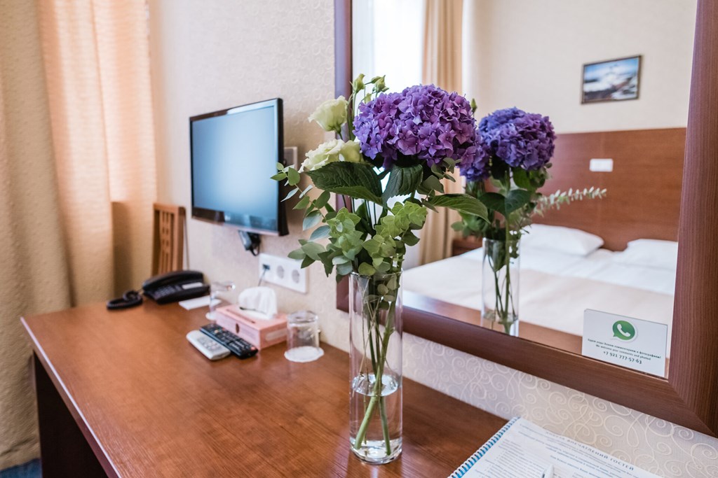 Nevsky Hotel Aster: Room DOUBLE STANDARD