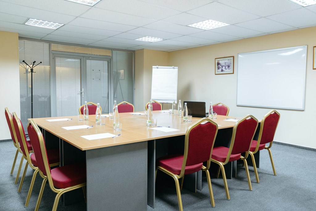 Premier hotel Polustrovo: Conferences