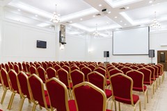 Premier hotel Polustrovo: Conferences - photo 13