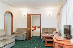 Premier hotel Polustrovo: Room SUITE STANDARD - photo 72