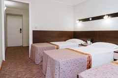 Premier hotel Polustrovo: Room TRIPLE STANDARD - photo 82