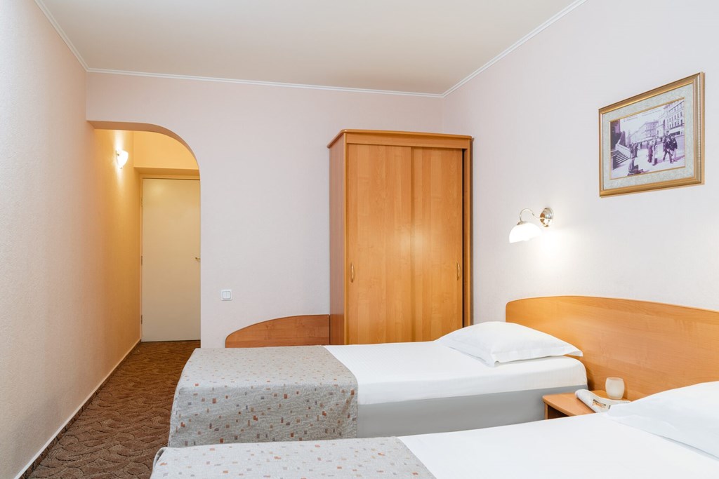 Premier hotel Polustrovo: Room