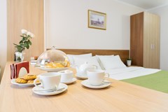 Premier hotel Polustrovo: Room FAMILY ROOM STANDARD - photo 105