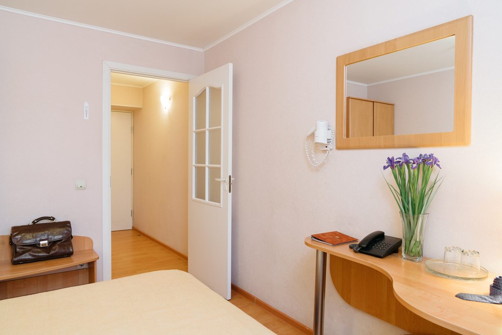 Premier hotel Polustrovo: Room SINGLE STANDARD