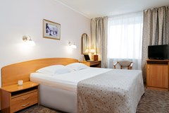 Premier hotel Polustrovo: Room DOUBLE STANDARD - photo 114