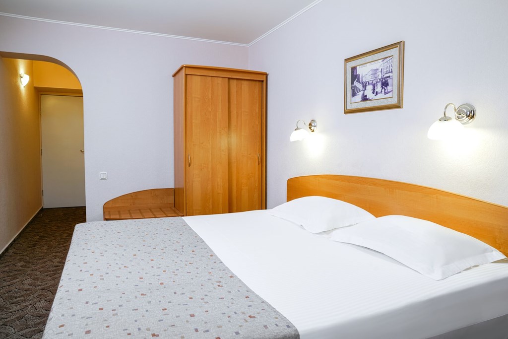 Premier hotel Polustrovo: Room DOUBLE STANDARD