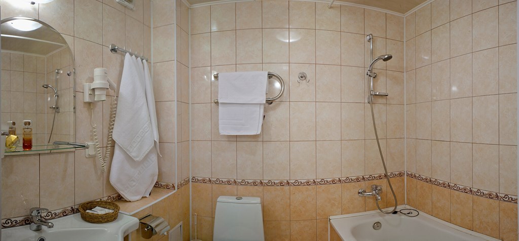 Premier hotel Polustrovo: Room DOUBLE STANDARD