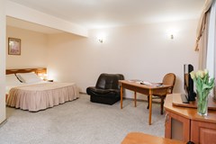 Premier hotel Polustrovo: Room - photo 45
