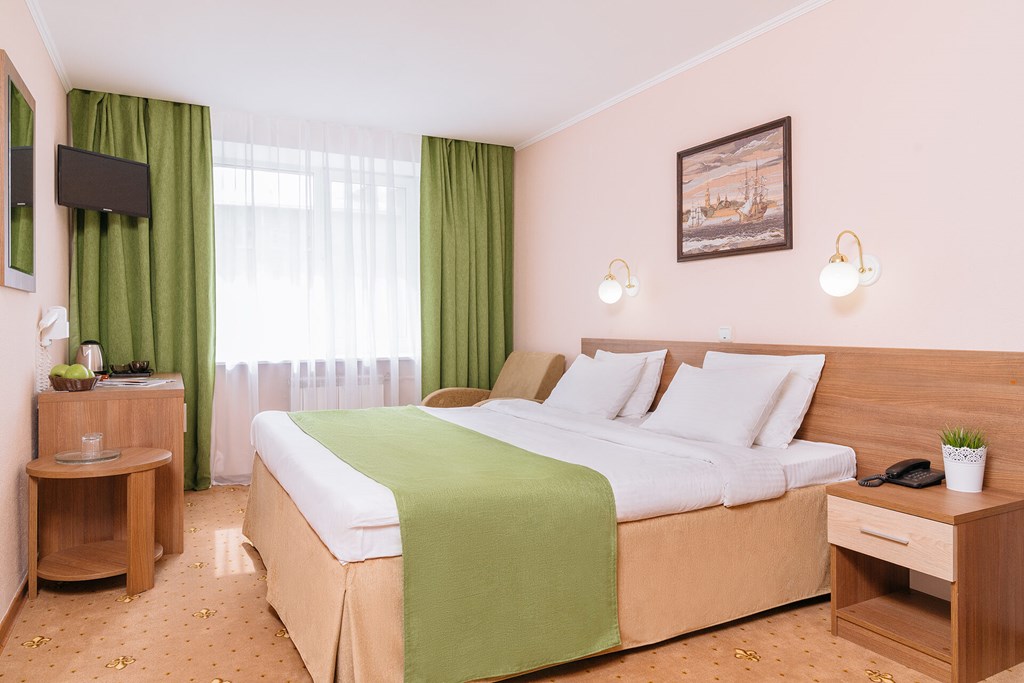 Premier hotel Polustrovo: Room