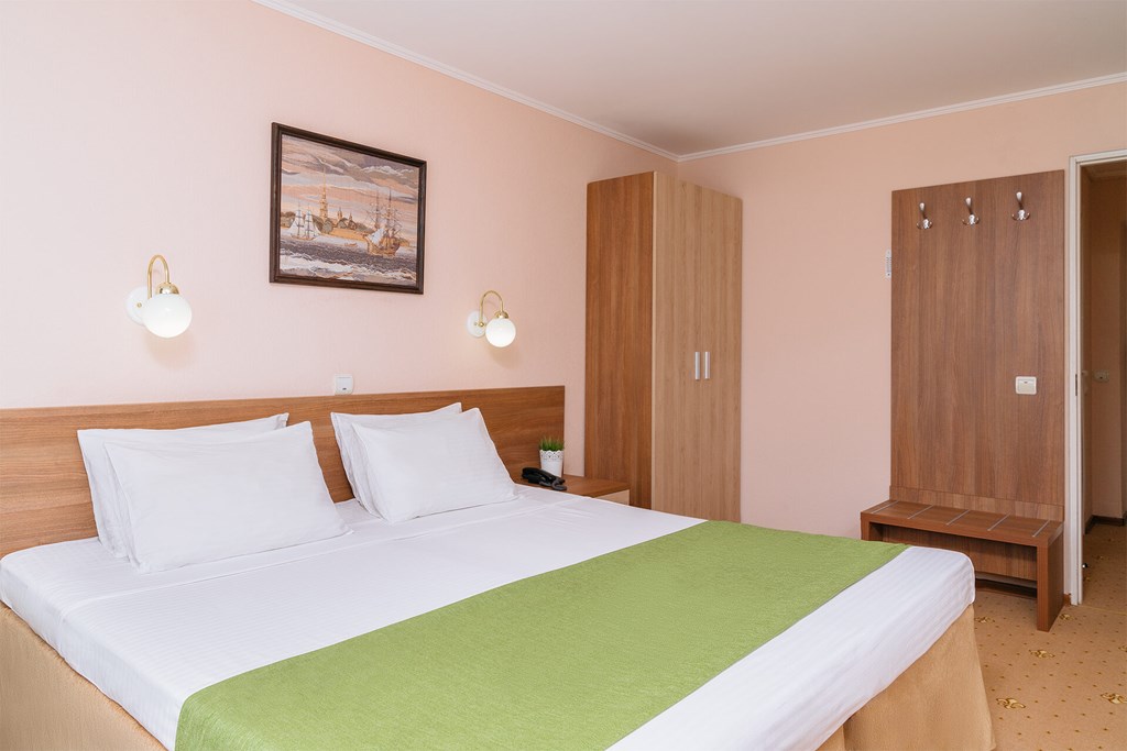 Premier hotel Polustrovo: Room