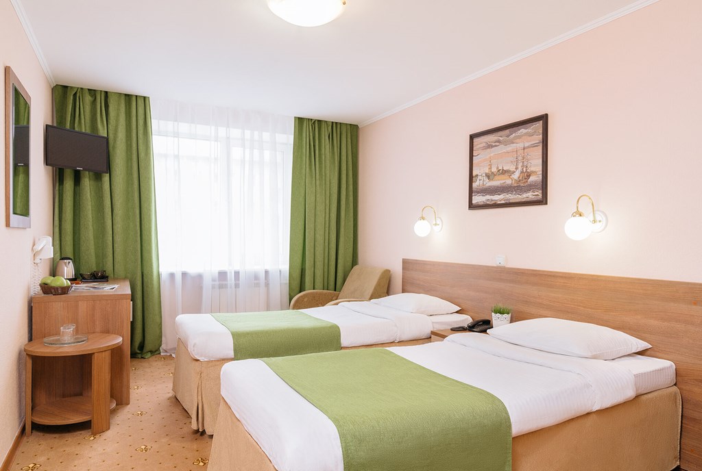 Premier hotel Polustrovo: Room