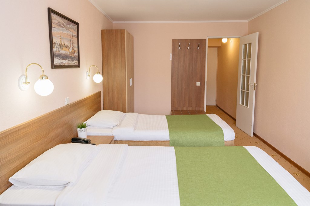 Premier hotel Polustrovo: Room