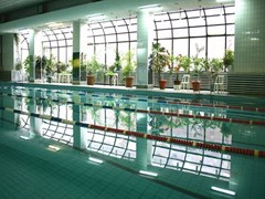 Gavan: Pool - photo 10