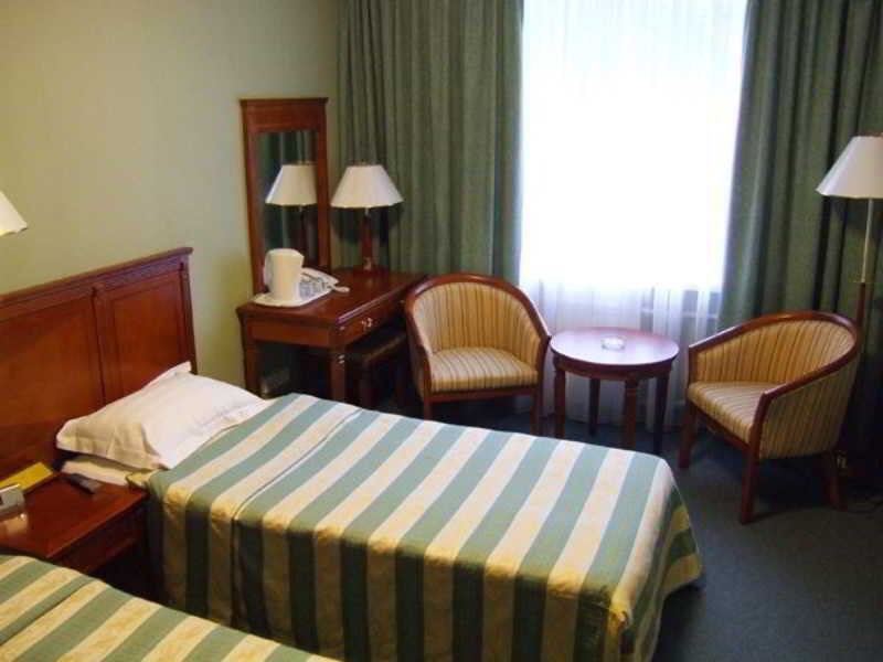 Slavyanskaya Hotel: Room