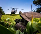 Hilton Seychelles Labriz Resort & Spa