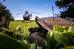 Hilton Seychelles Labriz Resort & Spa - photo 54