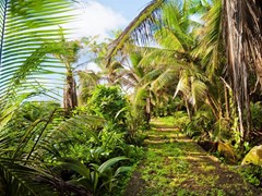 Hilton Seychelles Labriz Resort & Spa - photo 41