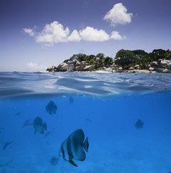 Raffles Seychelles - photo 64