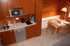 La Pleta Incles Suites 3000: Room APARTMENT CAPACITY 4 ONE BEDROOM - photo 13