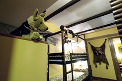 Ski Plaza: Room - photo 10