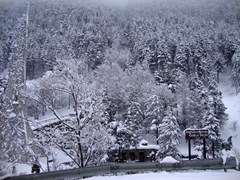 Apartamentos Canillo Les Moles 3000: General view - photo 23