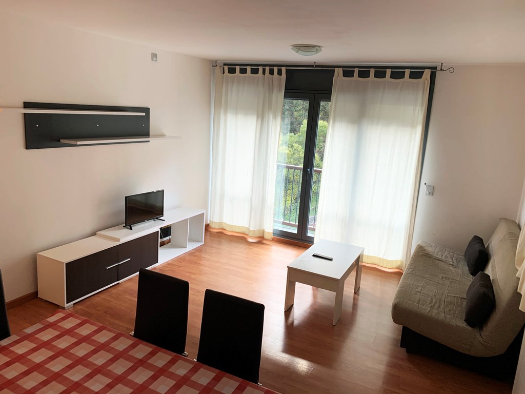 Apartamentos Canillo Les Moles 3000: Room APARTMENT CAPACITY 4 ONE BEDROOM