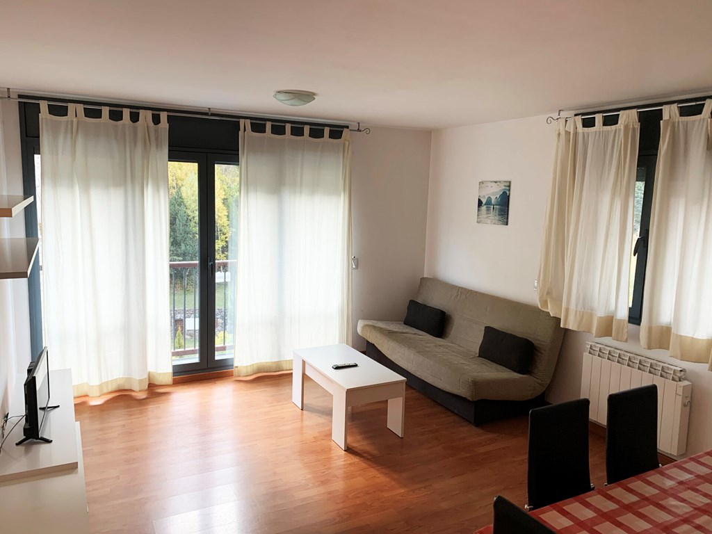 Apartamentos Canillo Les Moles 3000: Room APARTMENT CAPACITY 4 ONE BEDROOM