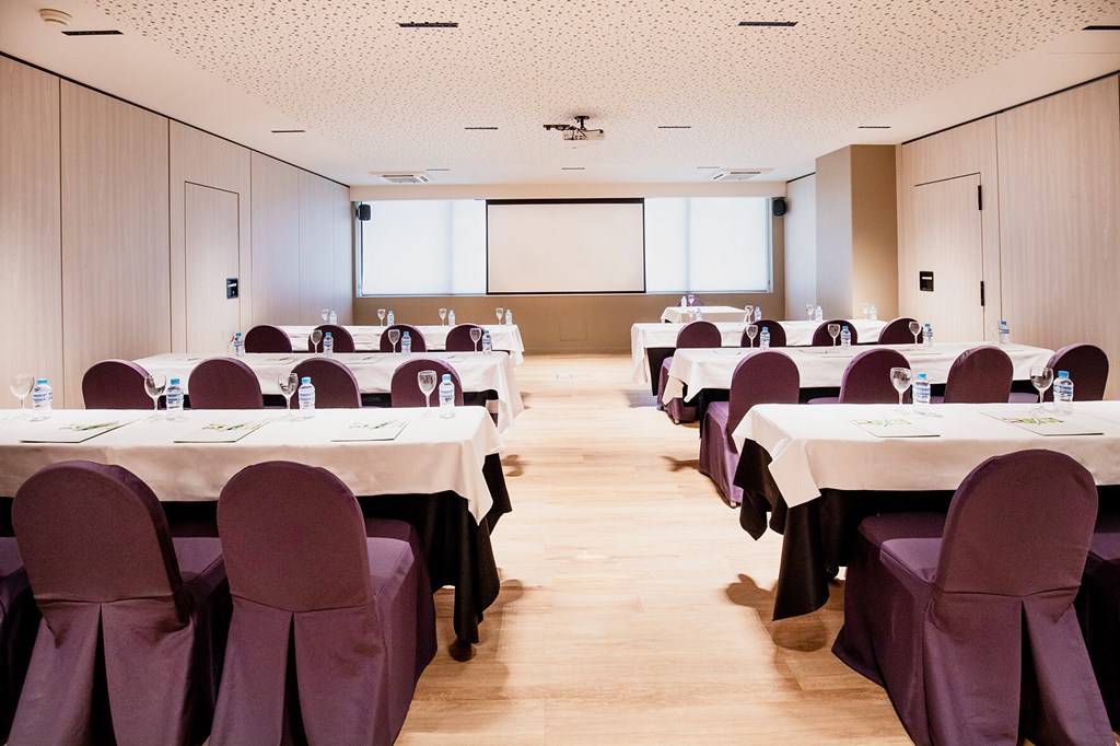 Holiday Inn Andorra: Conferences