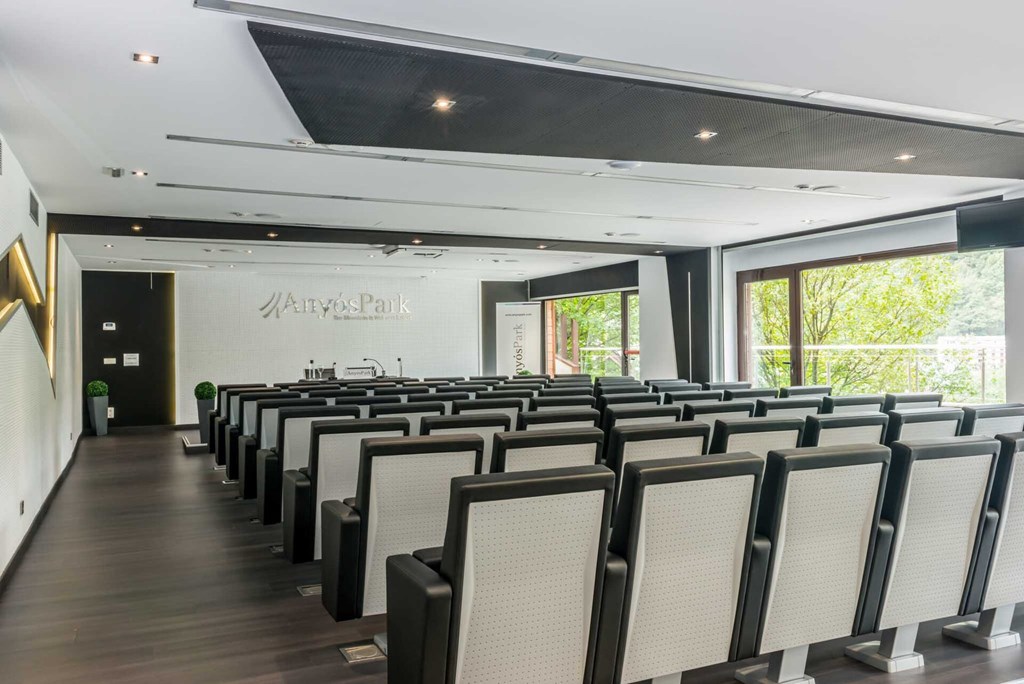 AnyosPark Hotel: Conferences