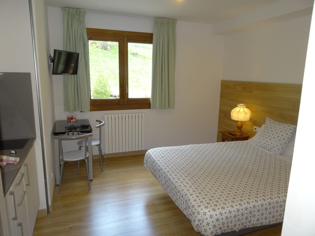 Aparthotel Sant Andreu: Room STUDIO CAPACITY 2