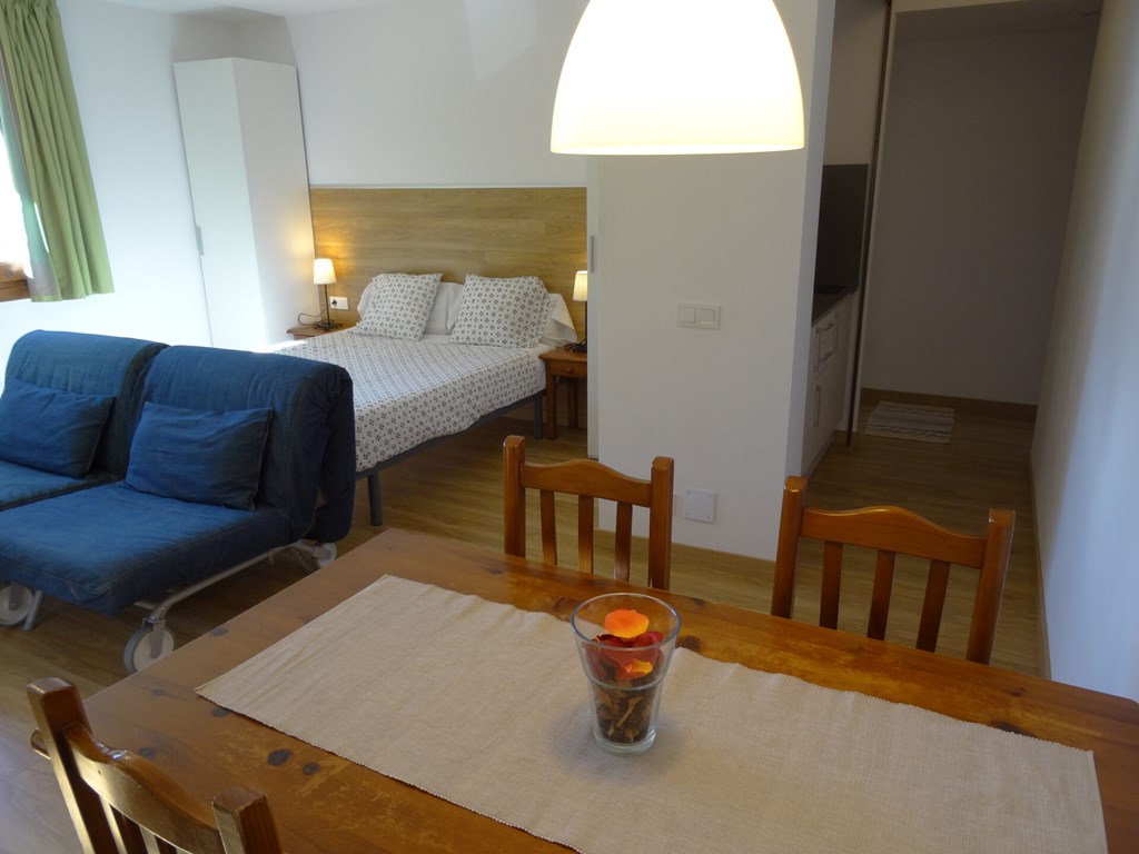 Aparthotel Sant Andreu: Room STUDIO CAPACITY 4