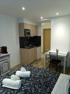 Aparthotel Sant Andreu: Room STUDIO CAPACITY 4 - photo 81