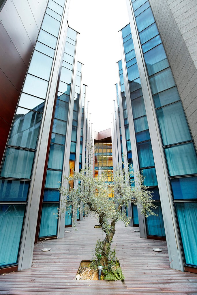 Golden Tulip Andorra Fenix Hotel: General view