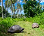 Fregate Island Private