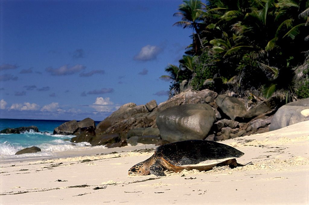 Fregate Island Private