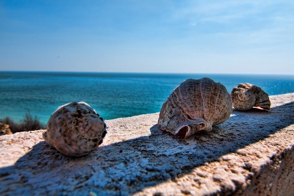 Panorama Fort Beach AH_FORT NOKS