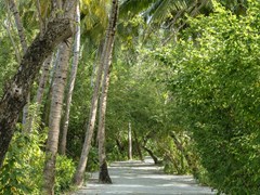 Summer Island Maldives Resort - photo 34