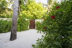 Summer Island Maldives Resort - photo 80