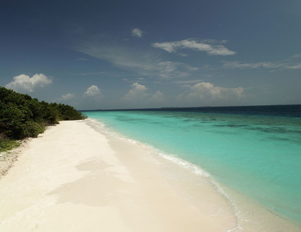 Reethi Faru Resort: Beach