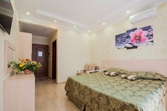 Axilleon Park Butik Hotel: Премиум 2-местный  - photo 49