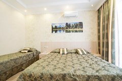 Axilleon Park Butik Hotel: Премиум 3-местный  - photo 61