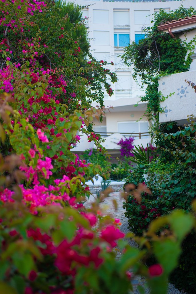 Bougainville Bay Hotel: General view