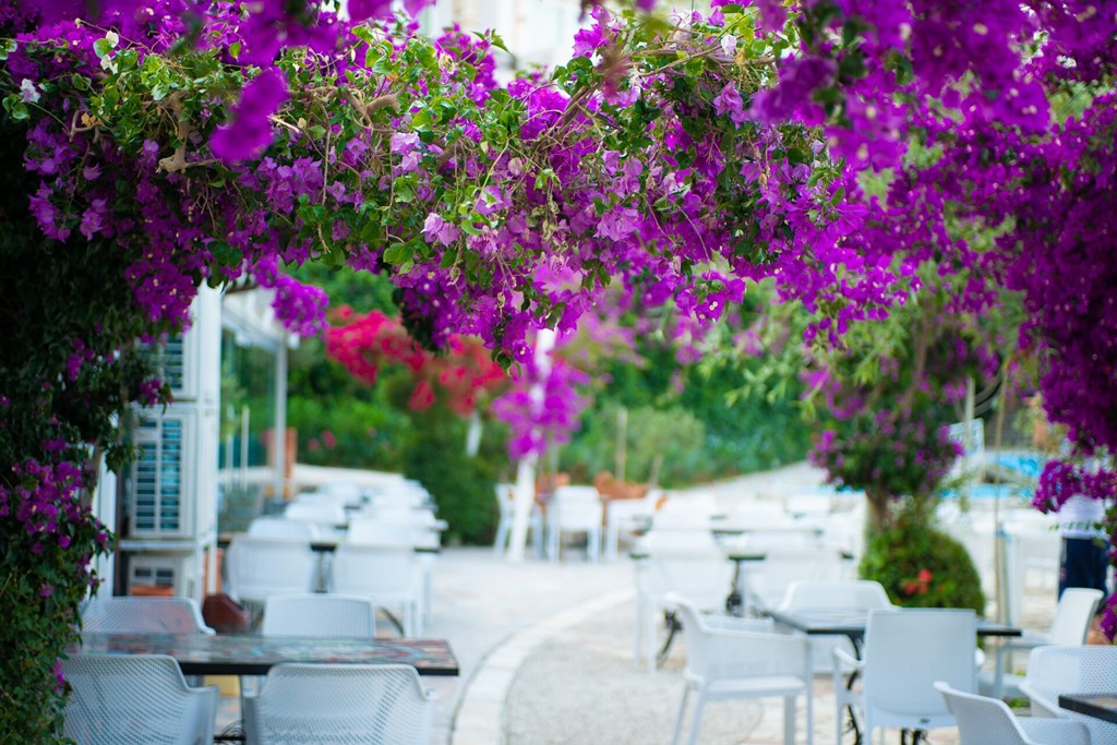 Bougainville Bay Hotel: General view