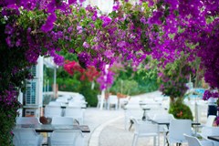 Bougainville Bay Hotel: General view - photo 63