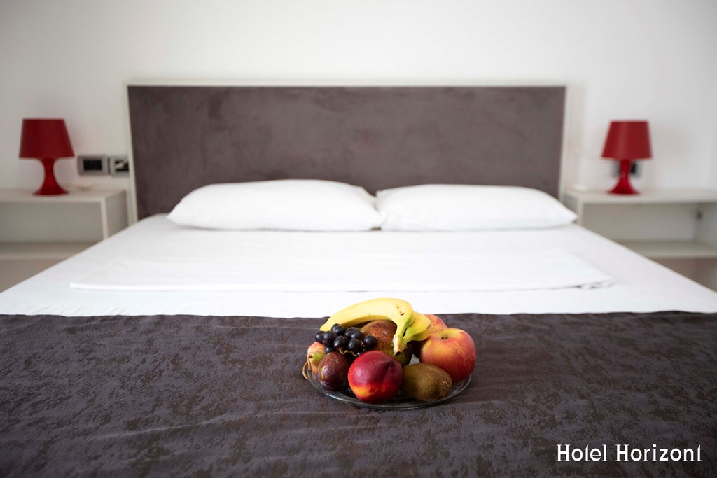 Hotel Horizont: Room DOUBLE STANDARD