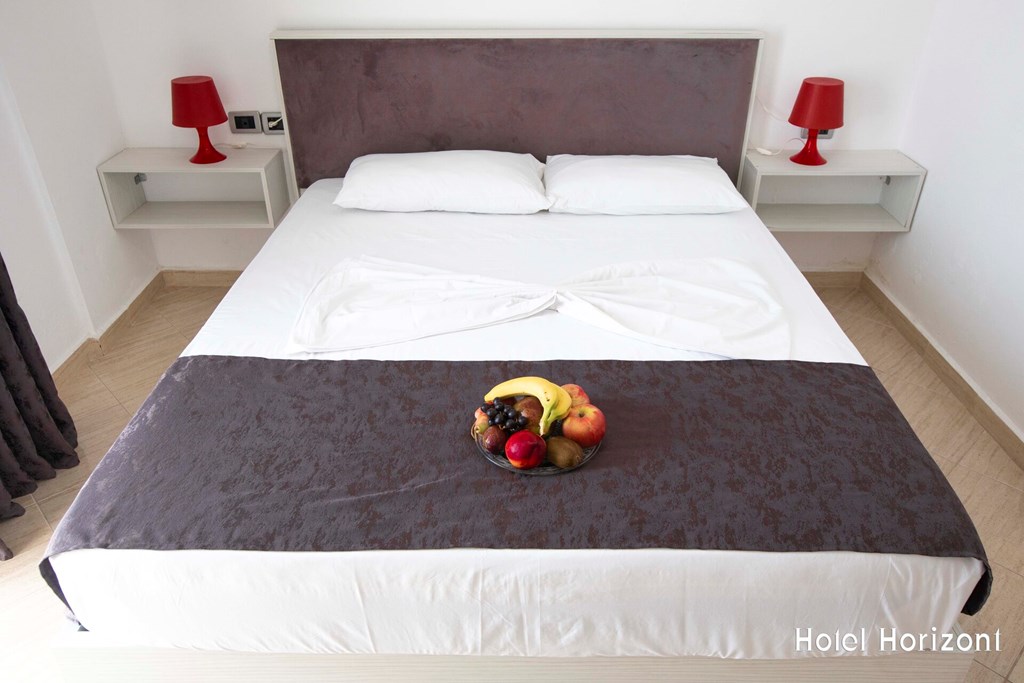 Hotel Horizont: Room DOUBLE STANDARD