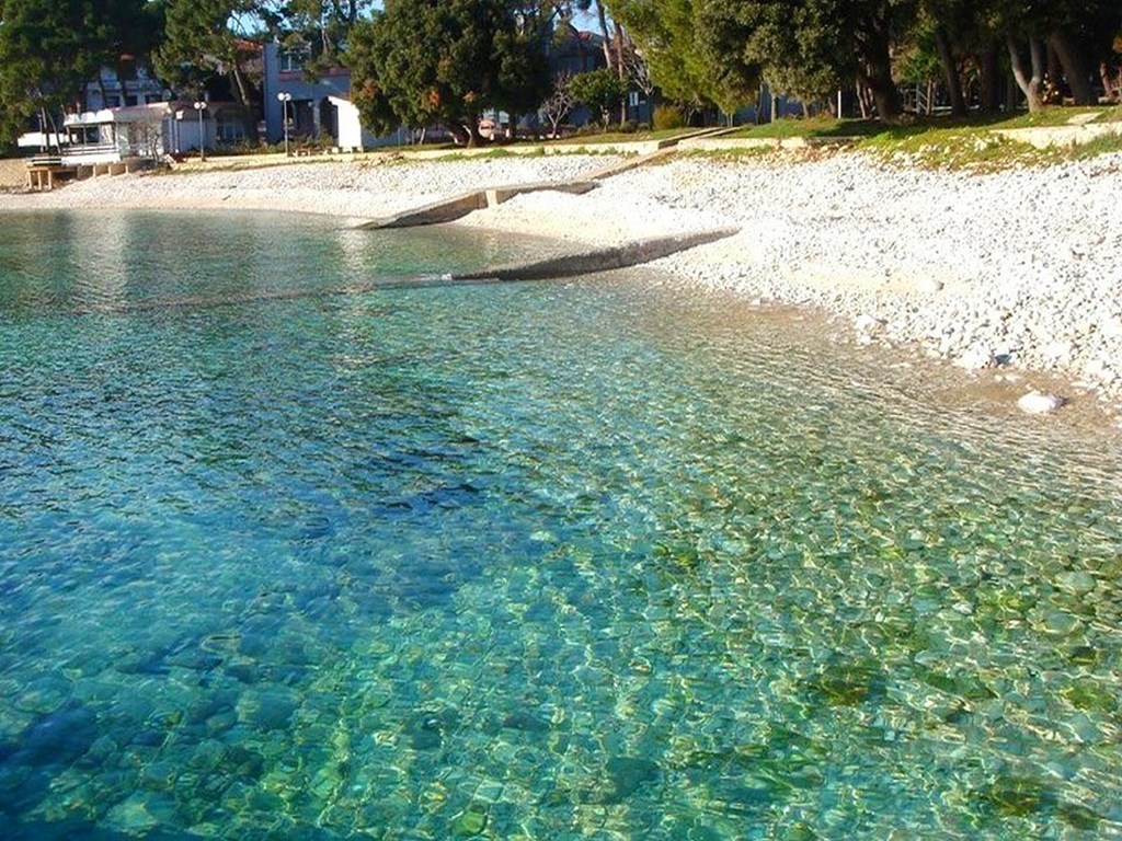 Catalina Apartments: Beach